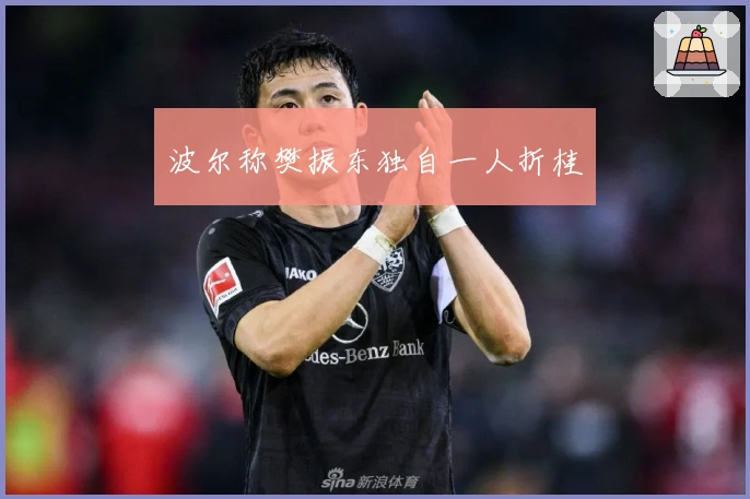 波尔称樊振东独自一人折桂