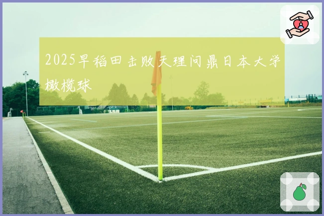 2025早稻田击败天理问鼎日本大学橄榄球